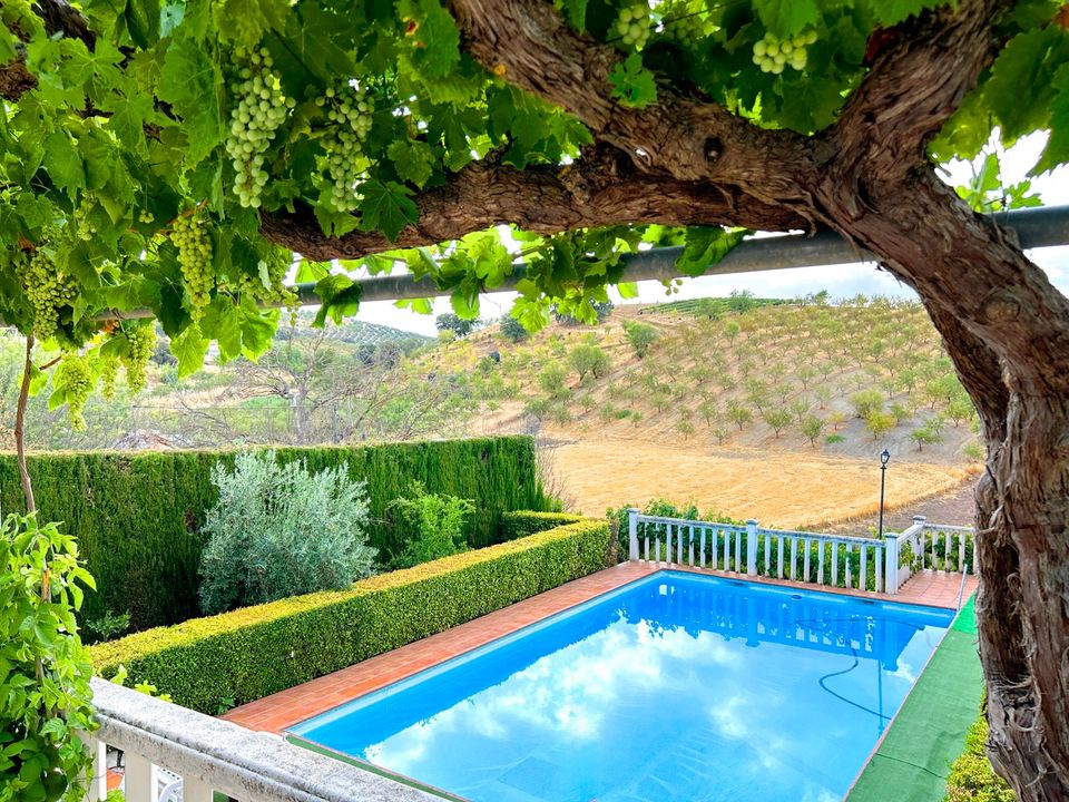 Cortijo en Casillas De Mures, Jaen - foto 3